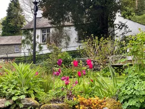 Cottage with 1 room for 2 persons - Image 2