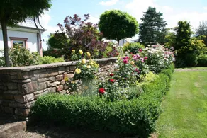 Wohnung mit Garten, Pool und Sauna | Gartenblick - Image 4