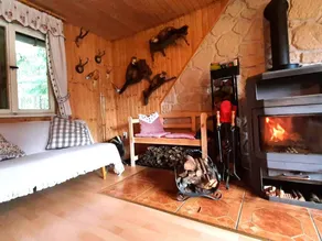 Uriges Ferienhaus am Rennsteig - Sauna & Kamin! Mit Thüringer WaldCard All Incl. - Image 3