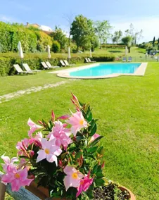 Agriturismo romantico Taverna di Bibbiano davanti a San Gimignano: Camera Ginestre - Image 5