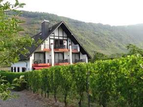 Ferienwohnung "Relax" Haus Weingarten - Image 2