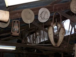 Pet-Friendly Cabin Rental in the Flinders Ranges of South Australia - Image 4