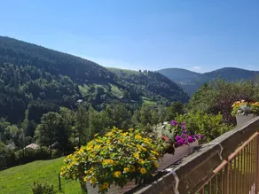 Gästezimmer in den Bergen, Haustiere erlaubt - Image 5