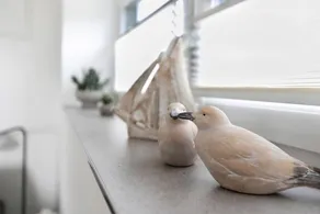 Studio with garden | Garden view | Perfect for remote work - Image 3