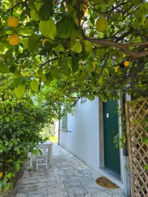 Flat with garden | Garden view - Image 3