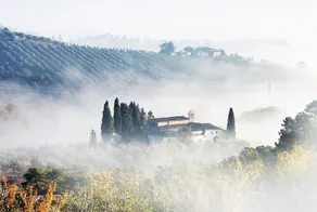 Podere la Casellina - un vero agriturismo familiare: Camera matrimoniale/tripla/quadrupla con colazione - Image 2