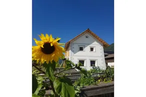 Pleasant holiday home with garden | Pets are welcome - Image 3