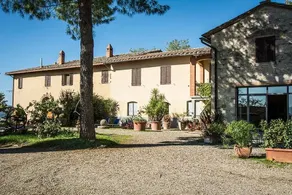 Agriturismo Sant'Ulivieri: Ginestra - Image 5