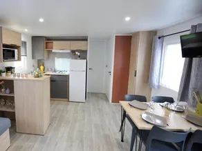 Mobile home with heated pool - Image 4