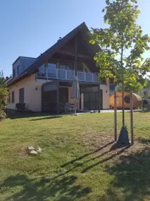 Pino OG - Image 2