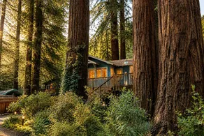 Cozy Boho Cabin with Hot Tub Under the Redwoods near Russian River – Monte Rio, California - Image 5