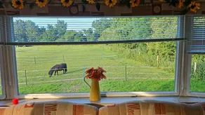 Family-friendly beautiful cabin - Image 4