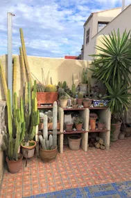 Gemütliches Ferienhaus mit Terrasse - Image 3
