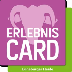 Familienfreundliches Ferienhaus mit Terrasse | Hunde erlaubt - Image 3