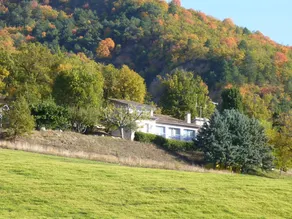 Holiday home surrounded by nature - Image 3