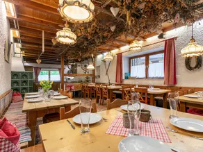 Tolles Ferienhaus mit Terrasse | Haustiere erlaubt - Image 5