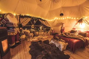 Romantic Private Dome for a Belgium Glamping Escape - Image 5