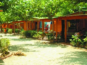 Nice bungalow with garden & pool | Close to the beach - Image 3