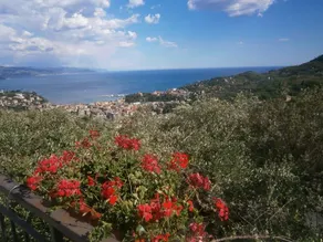 Portofino: Doppia - Image 3