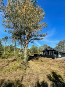 Child-friendly lovely house with garden, terrace & barbecue | Close to the beach | Pet-friendly - Image 2