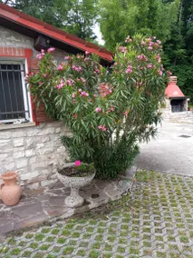 Chalet 'Casa Dell'uliveto' with Mountain View, Wi-Fi and Air Conditioning - Image 4