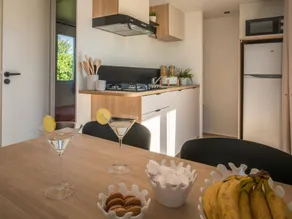 Children-friendly mobile home with heated pool & terrace | Pets are welcome - Image 4