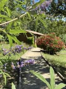 Children-friendly spacious chalet with BBQ, pool & terrace | Garden view | Pets allowed - Image 2