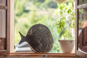 Maison avec terrasse, jardin et internet haut débit | Vue jardin - Image 3
