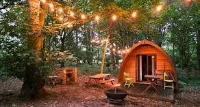 Glamping Pods in Suffolk Woodland Retreat - Image 2