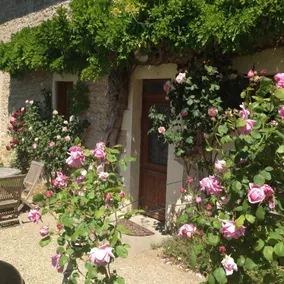 Gite with terrace, garden & pool | Pets are welcome - Image 4