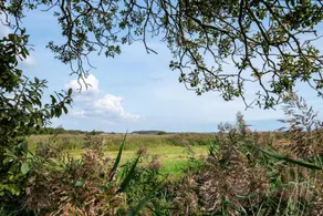 Fully equipped cottage with garden & BBQ | Water view | Close to the beach - Image 5