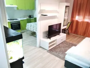 Apartamento vacacional con terraza, jardín y barbacoa - Image 4