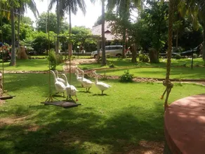 Dedicated room with barbecue, garden & pool | Nature view - Image 4