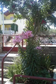 Tolle Wohnung mit Grill und Terrasse | Strand in der Nähe | Haustiere erlaubt - Image 4