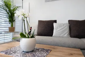 Appartement de vacances avec jardin, barbecue et terrasse | Vue jardin - Image 4