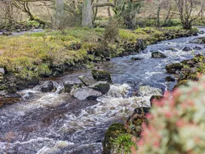 Fully equipped cottage with garden & barbecue | Water view | Pet-friendly - Image 3