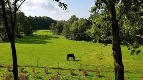 Wonderful holiday home with terrace | Dogs allowed - Image 5