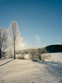 Neu renoviertes Ferienhaus am Rydbosjön - Image 3