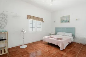 House | City view - Image 3