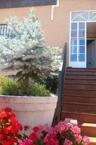 Apartment with garden & terrace - Image 5