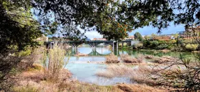 Albergue Deportivo La Casilla - Image 4