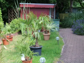 Holiday apartment with terrace & garden - Image 5