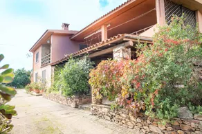Runcina 1 - Image 3