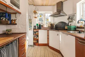 House | Dogs allowed - Image 4
