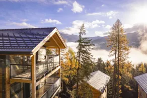 Chalet mit Whirlpool, Sauna und Terrasse - Image 2