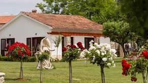 House with terrace, barbeque & garden | Next to the beach - Image 2