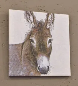 Appartamento con terrazza e giardino | Sono ammessi animali domestici - Image 3
