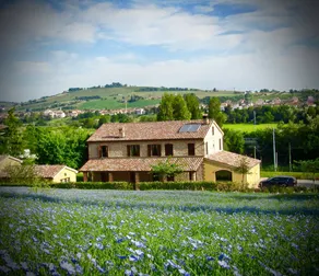 Homerez - Appartement à Castelbellino - Image 2