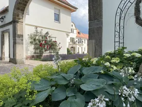 Holiday apartment with barbeque, terrace & garden | Garden view - Image 4
