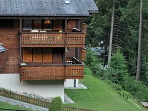Apartment mit Terrasse | Bergblick | Nah am Skifahren - Image 2